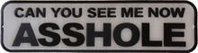 PL6557 Can You see Me Now Asshole Reflective Extra Large Patch - 15x4 inch